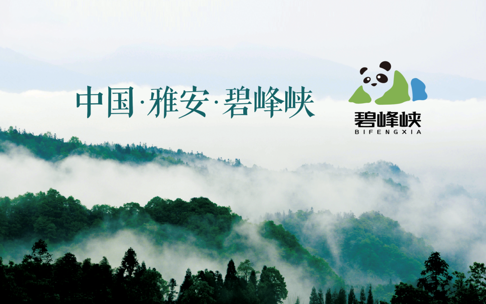 97国际-至尊品牌,源于诺言